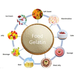Gelatin/Gelatine Food Grade Edible Powder 180/200/220/280 Bloom Maca/Candy/Sweets/Cheese/Fruit/Cake 25kg bag Halal Beef